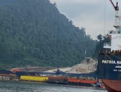 WALHI Sulteng Menang Gugatan di PN Poso, PT SEI, PT GNI, dan PT NNI Wajib Pulihkan Lingkungan