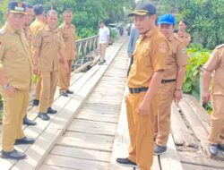 Bupati Morowali Tinjau Jembatan Kayu Polo di Harapan Jaya