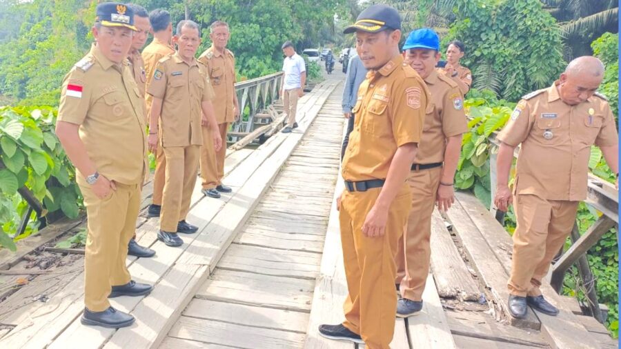 bupati morowali tinjau jembatan kayu polo di harapan jaya