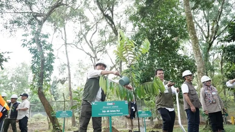 Arboretum Himalaya yang Tumbuh Jadi Hutan Alam Mengundang Decak Kagum