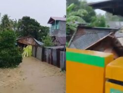 Bencana Ekologis di Donggala: Tata Ruang Rusak, Rakyat Menanggung Risiko