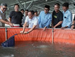 Budidaya Ikan Andalan Ekonomi Baru, Anwar Hafid Perluas Program BERANI Tangkap Banyak