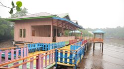 CSR IMIP Tuntaskan Pembangunan Desa Wisata Mangrove Padabaho Morowali