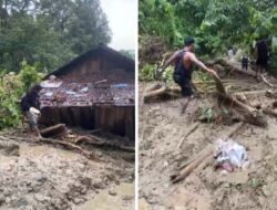 Dusun Sisere Donggala Terisolir, Akses Jalan Tertutup Lumpur Bercampur Kayu