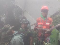 Hari Kelima Operasi SAR, Tim SAR Gabungan Temukan Black Box Pesawat ATR 42-500