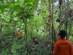 Operasi Pencarian Lansia di Pagimana di Hari Ke-4 Nihil, Terkendala Hewan Buas