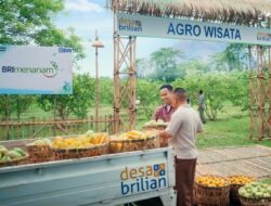 Puncak Hari Desa Nasional 2026, BRI Diganjar Penghargaan karena Konsisten Dorong Kemajuan Ekonomi Desa