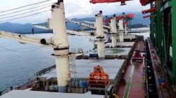 Sulteng Surplus Neraca Perdagangan pada November 2025, Secara Tahunan Turun