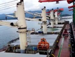 Sulteng Surplus Neraca Perdagangan pada November 2025, Secara Tahunan Turun