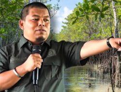 Dugaan Pengrusakan Mangrove di Morowali, Safri Minta Polisi Bertindak
