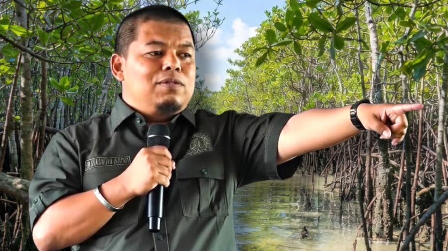 dugaan pengrusakan mangrove di morowali safri minta polisi bertindak