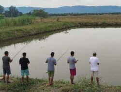 Pemancingan Ikan BUMDes Sampeantaba Morowali Ramai Pengunjung