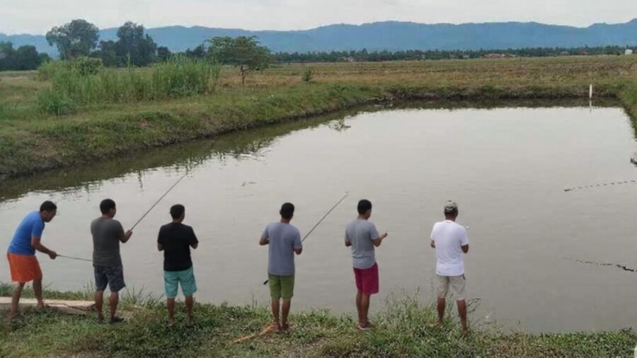 pemancingan ikan bumdes sampeantaba morowali ramai pengunjung