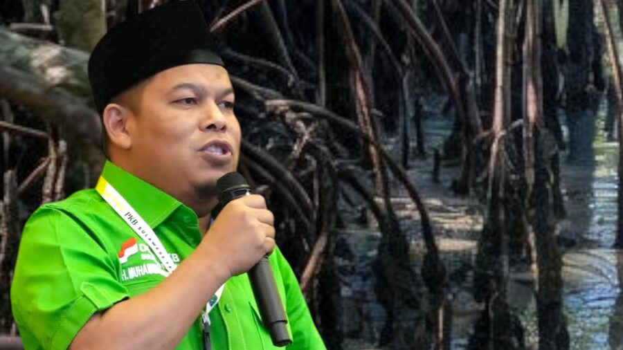 safri desak satgas pkh tindak korporasi perusak kawasan mangrove di sulteng