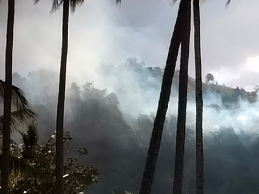 Kebakaran Hutan dan Lahan di Avolua Parimo, Api Belum Sepenuhnya Berhasil Dipadamkan