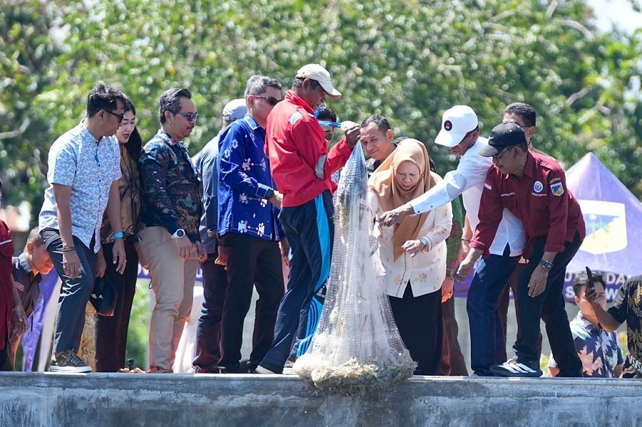 Panen Perdana Udang Vannamei di Taipa, Wagub Reny Apresiasi Gercep Kepala DKP Sulteng