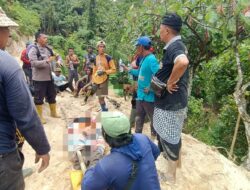 Petani Tolai Barat Tewas Akibat Tertimpa Pohon Saat Menebang di Kebun