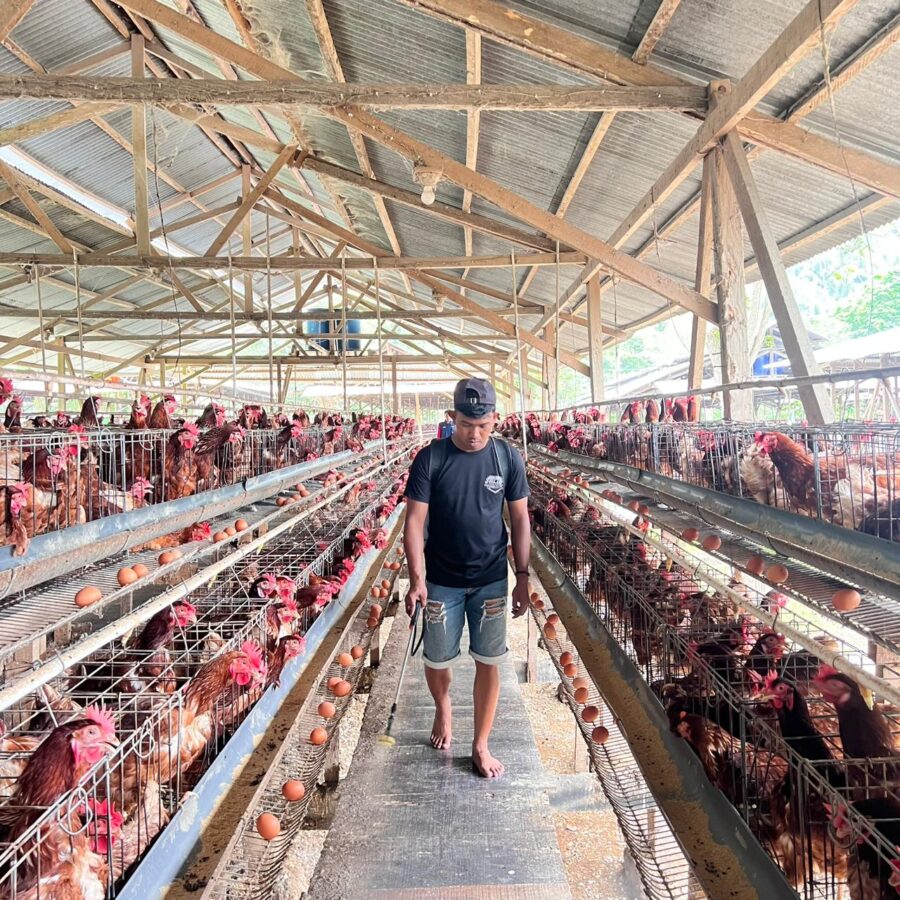 Pemkab Donggala Respon Cepat Aduan Warga Maleni Soal Lalat Bertebaran di Permukiman