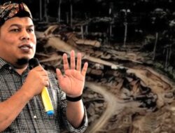 Cegah PETI Jadi Kuburan Massal, Safri Dorong Legalisasi Tambang Rakyat