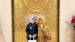 Dorong Peresmian Pengadilan Negeri di Morowali, Wabup Iriane Konsultasi ke Mahkamah Agung