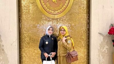 Dorong Peresmian Pengadilan Negeri di Morowali, Wabup Iriane Konsultasi ke Mahkamah Agung