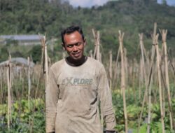 Desa BRILian Sumowono, Desa Sayur yang Tumbuh dan Terus Berinovasi Bersama BRI