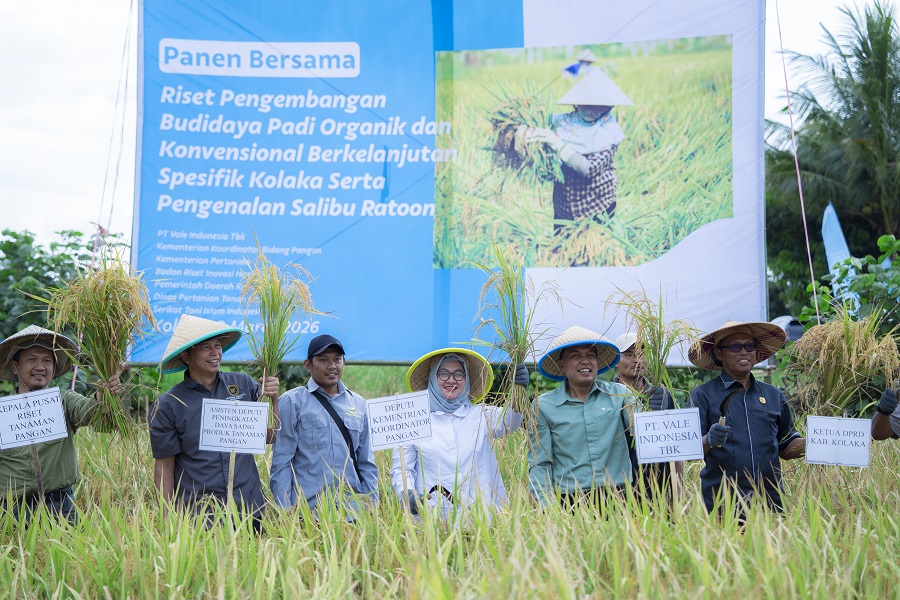 PT Vale Panen Bersama Demplot Padi Berkelanjutan di Kolaka