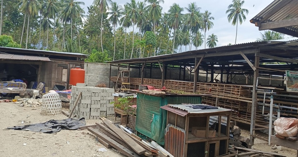 Bantuan Ayam Petelur Pokir Anleg Tolitoli, Penerima Putranya Sendiri