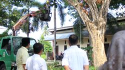 Bupati Parimo Tinjau Penebangan Pohon, Antisipasi Potensi Pohon Tumbang