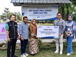 Kelompok Wanita Tani Sumber Boga Sleman Budidayakan Lidah Buaya Didukung BRI