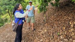 Mantri BRI di Sulawesi Tenggara, Menembus Pegunungan Demi Menggerakkan Ekonomi Kerakyatan