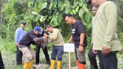 Parimo Aksi Tanam Pohon Untuk Mitigasi Perubahan Iklim