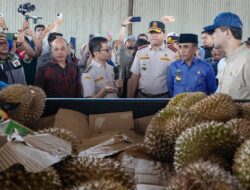 Sulteng Ekspor Durian ke Tiongkok, Gubernur Anwar: Jangan Ada Mempersulit Izin