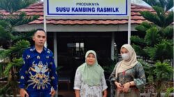 UMKM Susu Kambing Ras Farm Tumbuh Pesat Berkat Dukungan KUR BRI