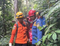 Wanita Paruh Baya yang Tersesat di Hutan Battang Barat Palopo Ditemukan, Begini Kondisinya