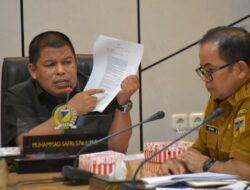 Tak Hadir di RDP, Safri Desak Kementerian ESDM Tolak RKAB PT IMNI