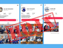 BRI Tegaskan Pengajuan KUR Tidak Ditawarkan Secara Online, Waspada Tautan Penipuan