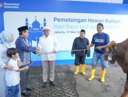 BRIGroup Distribusikan lebih dari 5000 Hewan Kurban di Berbagai Daerah pada Iduladha 1447H