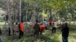 Basarnas Kerahkan Tim Rescue Cari Lansia yang Hilang di Arasoe Bone