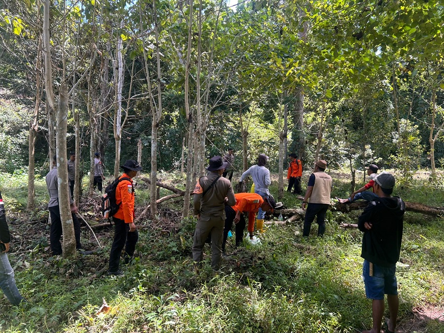 Basarnas Kerahkan Tim Rescue Cari Lansia yang Hilang di Arasoe Bone
