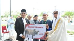 Gubernur Sulteng Menyerahkan 127 Sapi Kurban di Iduladha 1447H