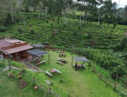 Kick-Off Desa BRILiaN 2026, BRI Dorong Transformasi Desa 5.0