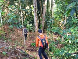 Lansia Diduga Tersesat di Perkebunan Desa Balukang Donggala, Pencarian Terkendala Vegetasi Cukup Rapat