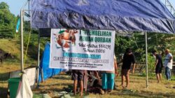 Masjid Nurul Falah Poso Sembelih Belasan Hewan Kurban di Iduladha 1447H
