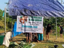 Masjid Nurul Falah Poso Sembelih Belasan Hewan Kurban di Iduladha 1447H