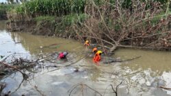 Operasi Pencarian Lansia di Saluran Irigasi Wage Diperluas hingga Sungai Walanae
