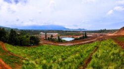 PT Vale Reklamasi Lahan 158 Hektare dan Tanam 72.296 Pohon pada 2025