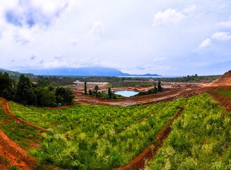 PT Vale Reklamasi Lahan 158 Hektare dan Tanam 72.296 Pohon pada 2025