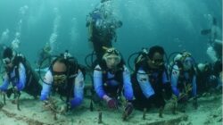 Pekerja BRI Transplantasi Terumbu Karang di Perairan Kepulauan Sabang Aceh