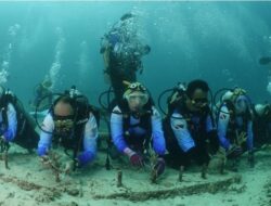 Pekerja BRI Transplantasi Terumbu Karang di Perairan Kepulauan Sabang Aceh